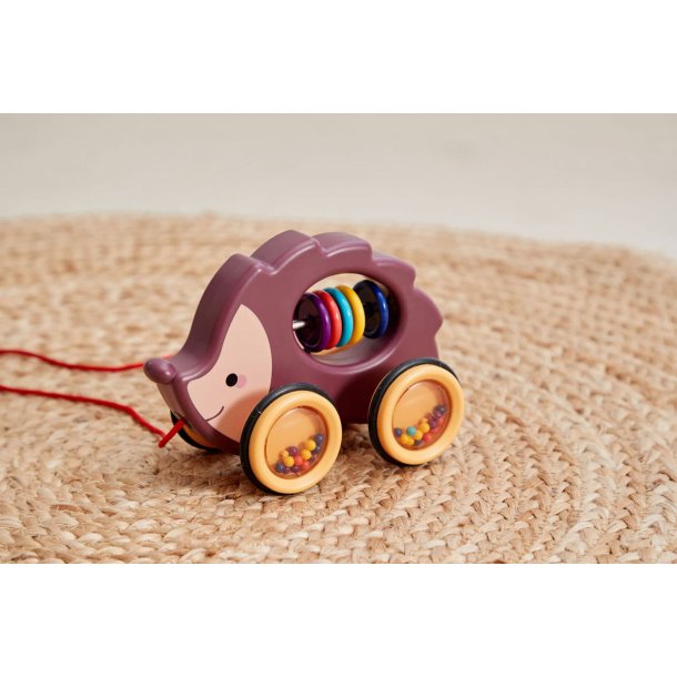 Dra längs igelkotten babyleksak