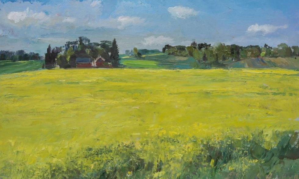 Få 100kr rabbat för nya användare eller dom som inte handlat på 12 månader