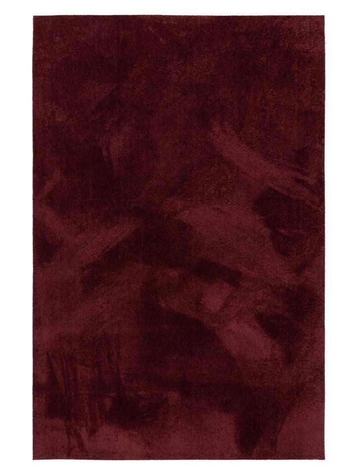 Upptäck exklusiva specialerbjudanden idag