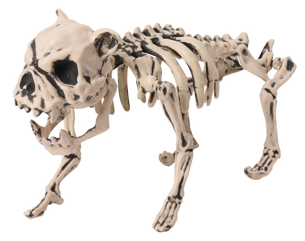 Halloween Night Crawler Dekoration