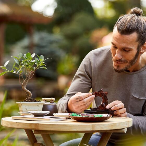 LEGO Bonsaiträd Botanical Collection Set