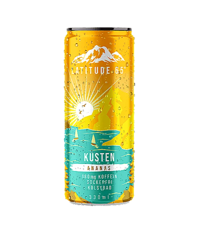 24-Pack Latitude 65 Kusten 330ml