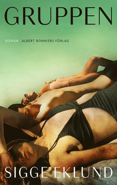 Gruppen av Sigge Eklund Bok