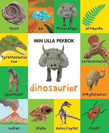 Min lilla pekbok: Dinosaurier av Andrea Mills