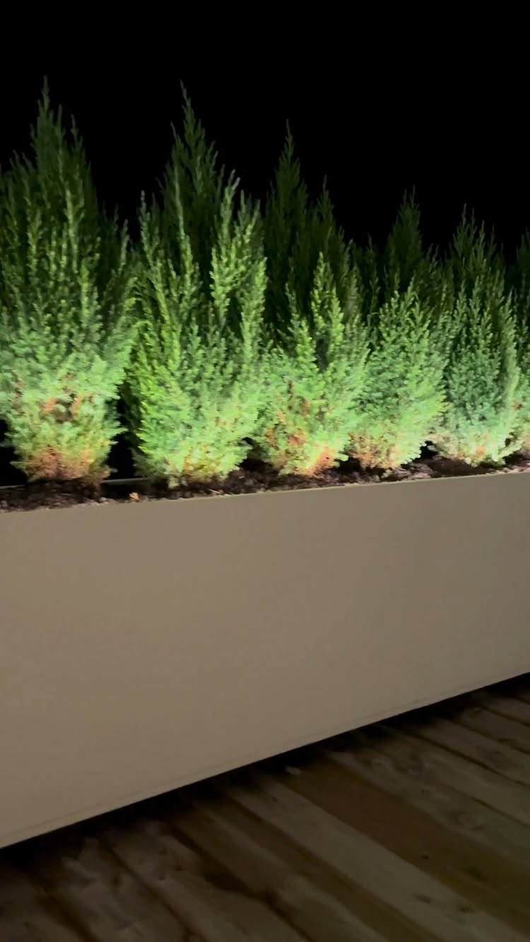 15 % rabatt på hela din order hos Wernamo Design