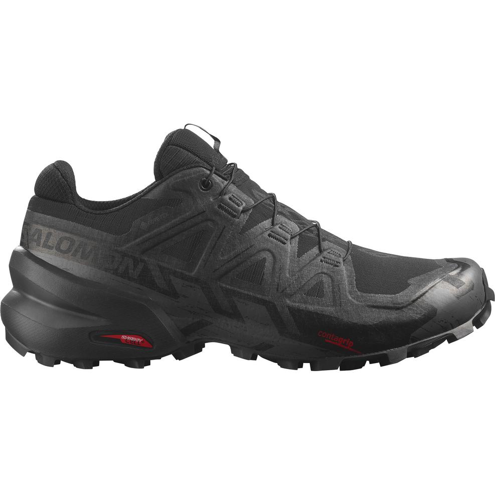 Salomon Men's XA Pro 3D V9 GORE-TEX Shoes