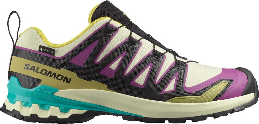 Salomon Men's XA Pro 3D V9 GORE-TEX Shoes