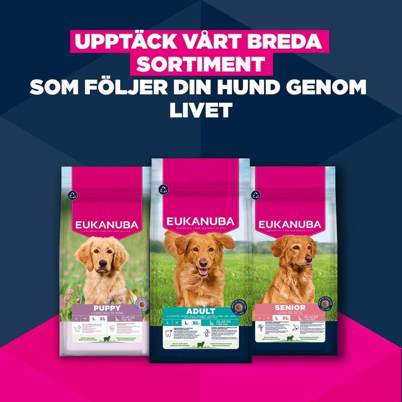 Eukanuba Adult Large Breed Lamb & Rice