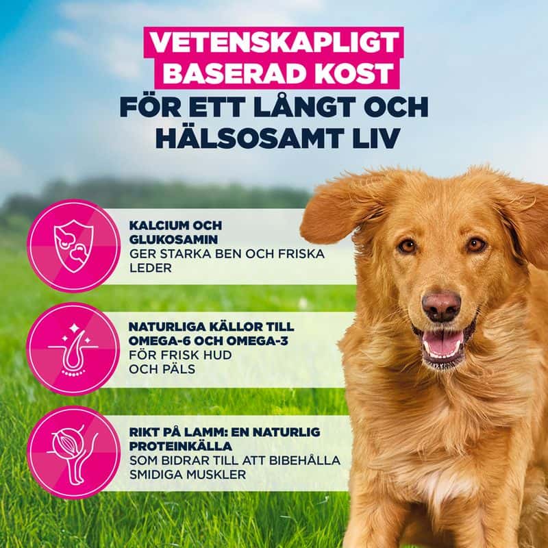 Eukanuba Adult Large Breed Lamb & Rice