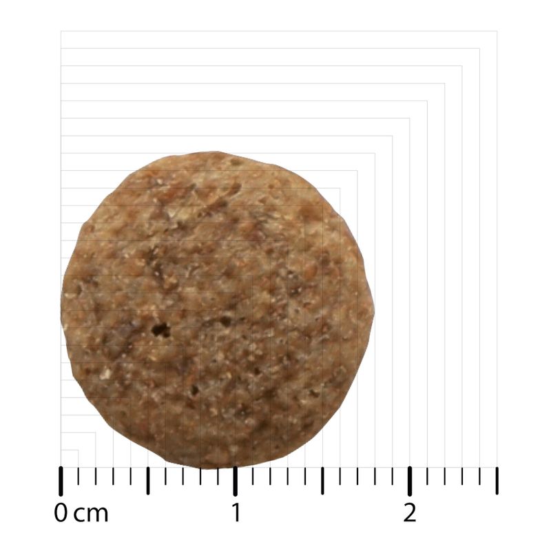 Bozita Original Adult Classic Torrfoder