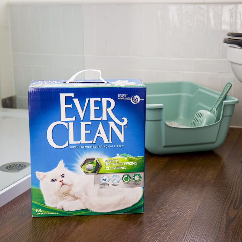 Ever Clean Extra Strong Fresh Scent Kattsand