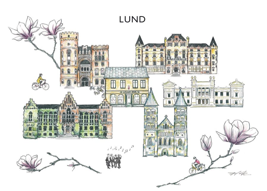 Tevykort Lundablandning Premium Te