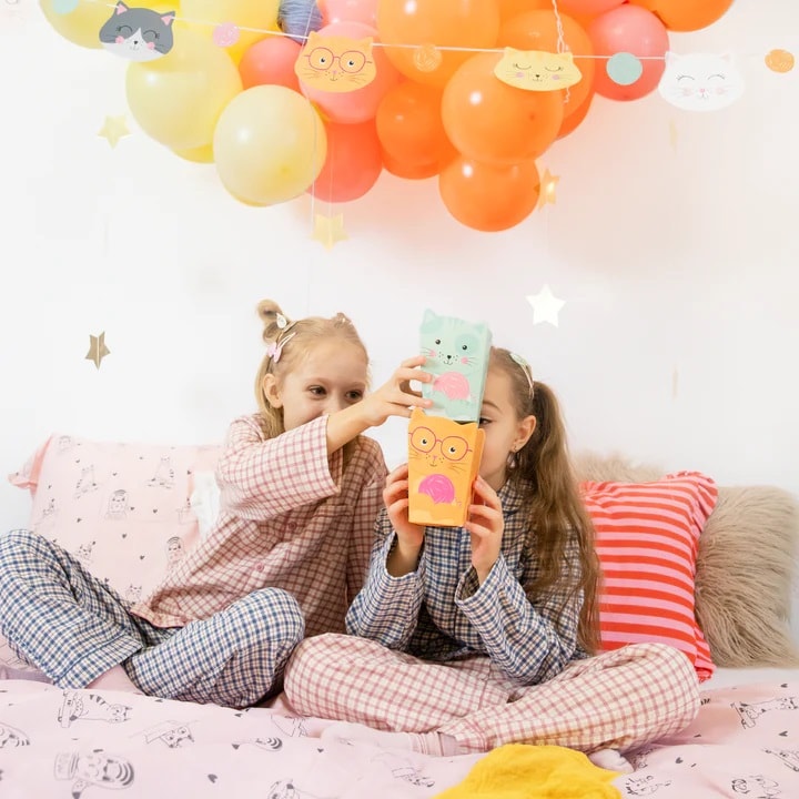 Katt Popcornboxar 6-pack Partyset