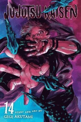 Jujutsu Kaisen Vol. 14 Trade Paperback
