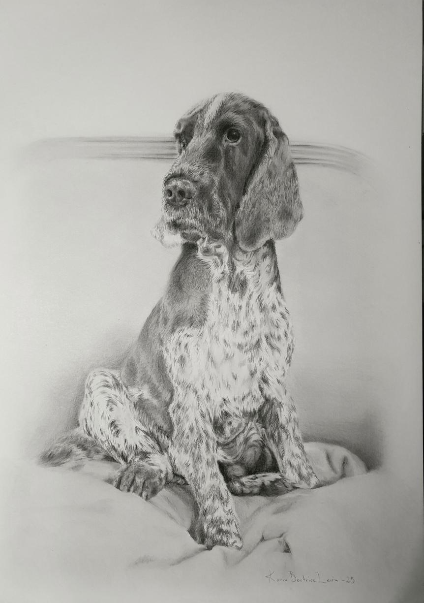 Craft Sensations Färgpennor i Trälåda 18-set