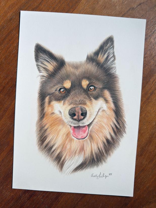 Craft Sensations Färgpennor i Trälåda 18-set