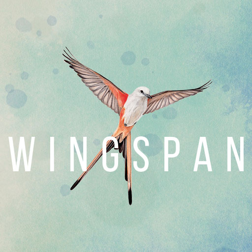 Wingspan Game – 50 % Discount