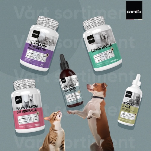 Få 15 % rabatt på din nästa beställning hos Animigo