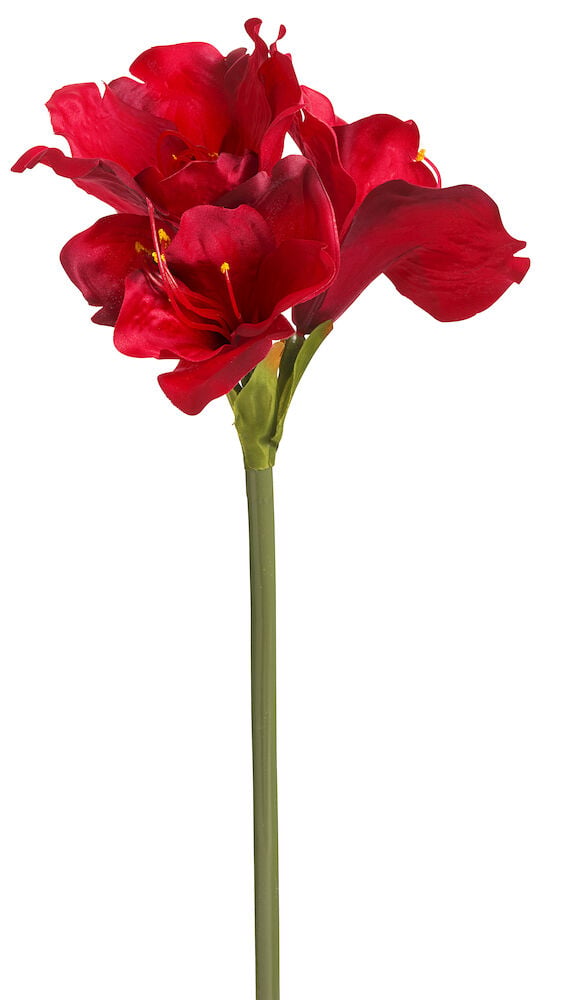 Elegant Amaryllis Flower Decoration