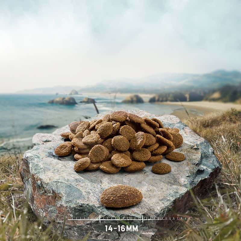 Purizon Adult Duck & Beef Cat Food