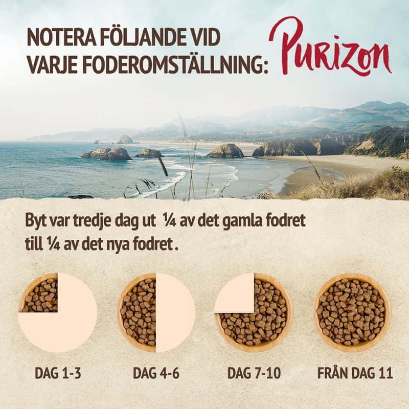 Purizon Adult Duck & Beef Cat Food