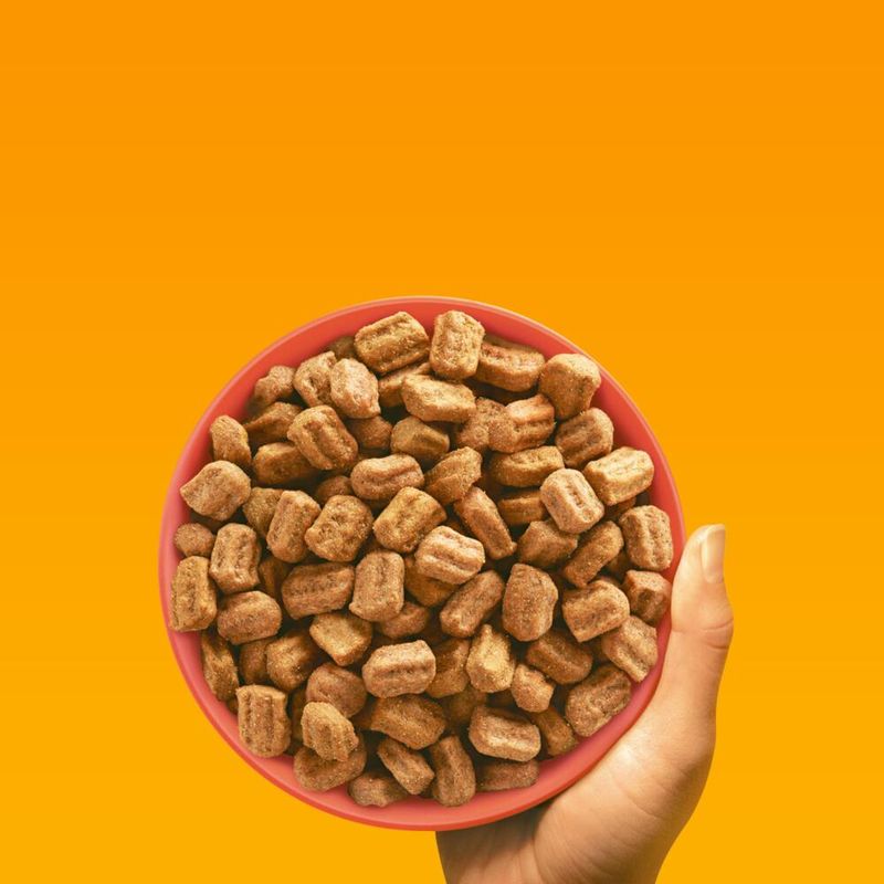 Pedigree Professional Adult Beef & Vegetables