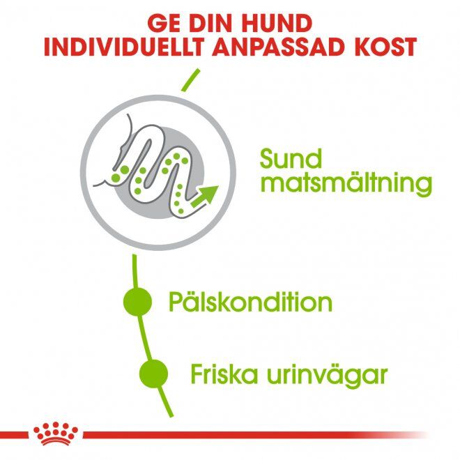 Royal Canin X-Small Adult Hundfoder