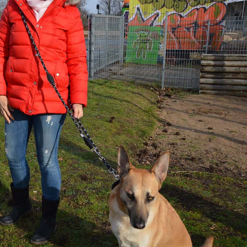 JULIUS-K9 IDC Justerbart Repkoppel