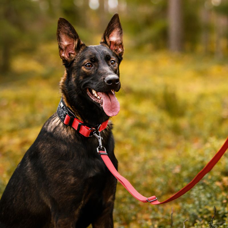 Rukka Cube Soft Hundhalsband Röd/Svart