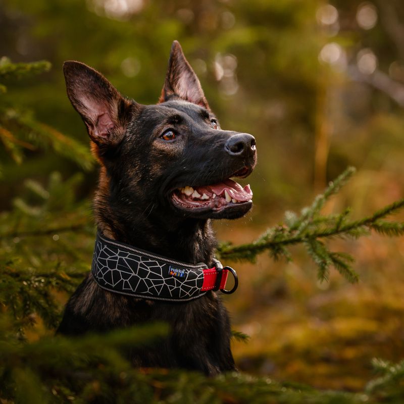 Rukka Cube Soft Hundhalsband Röd/Svart