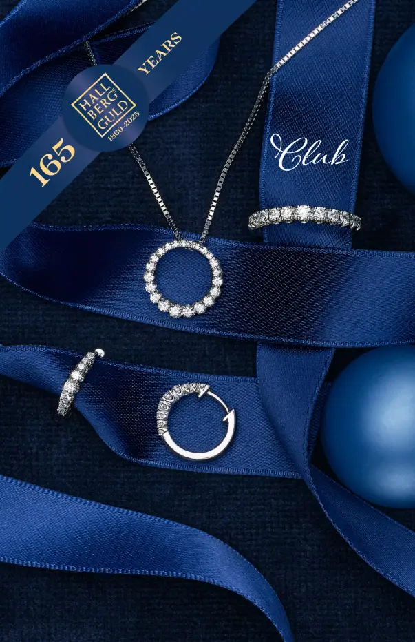 Eleganta Smycken för Alla Tillfällen