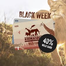 40 % rabatt på Wildcard hos Kolmården