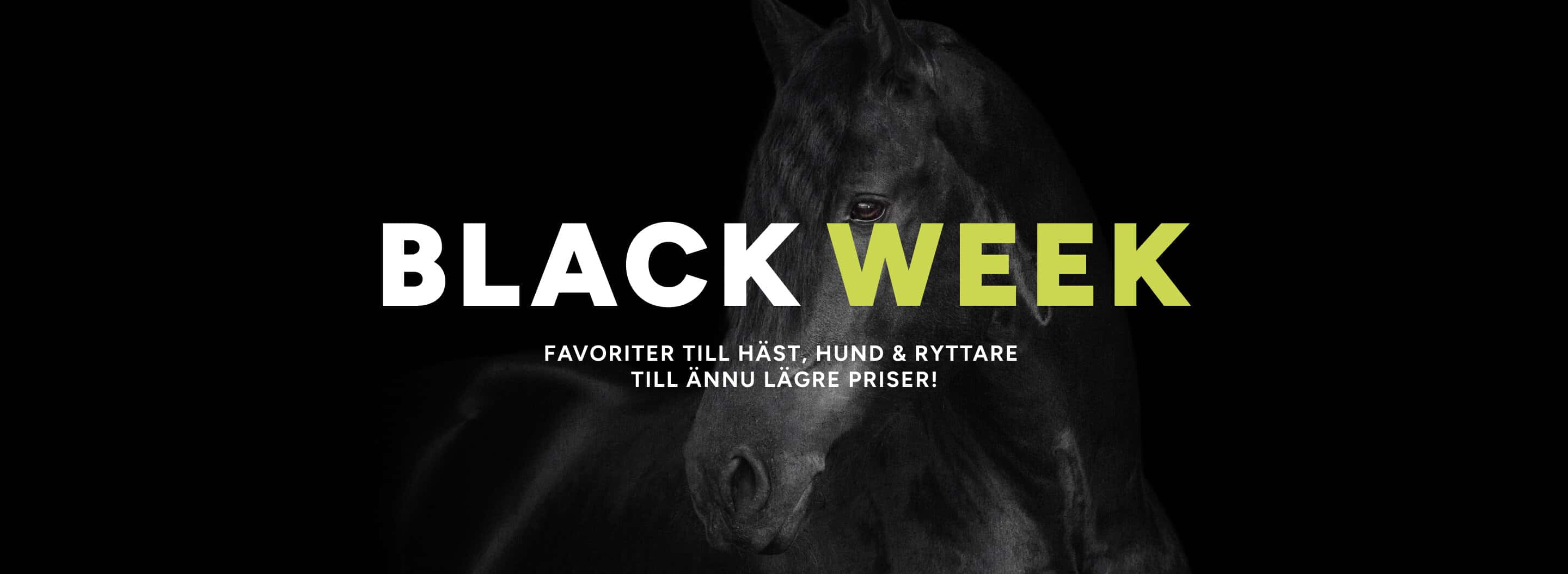 Black Friday REA på ridutrustning