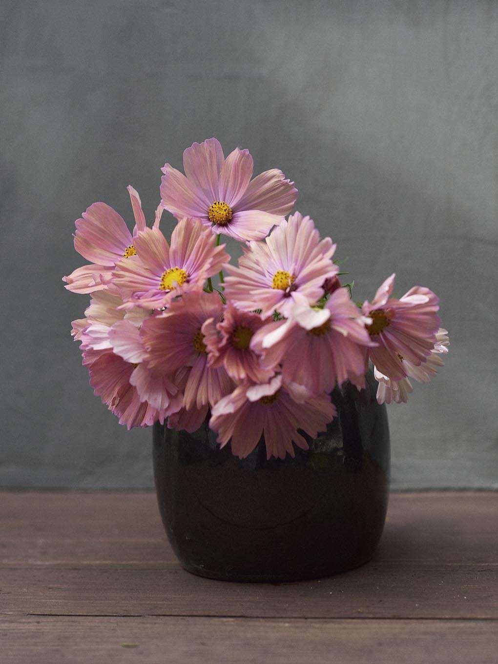 20 % rabatt hos Zetas Garden