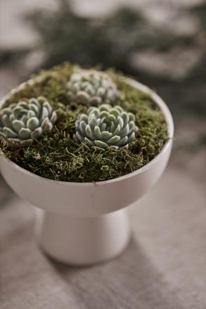 Exklusiva Blommor och Växtarrangemang