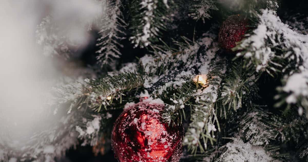 Magisk Adventskamp på Liseberg