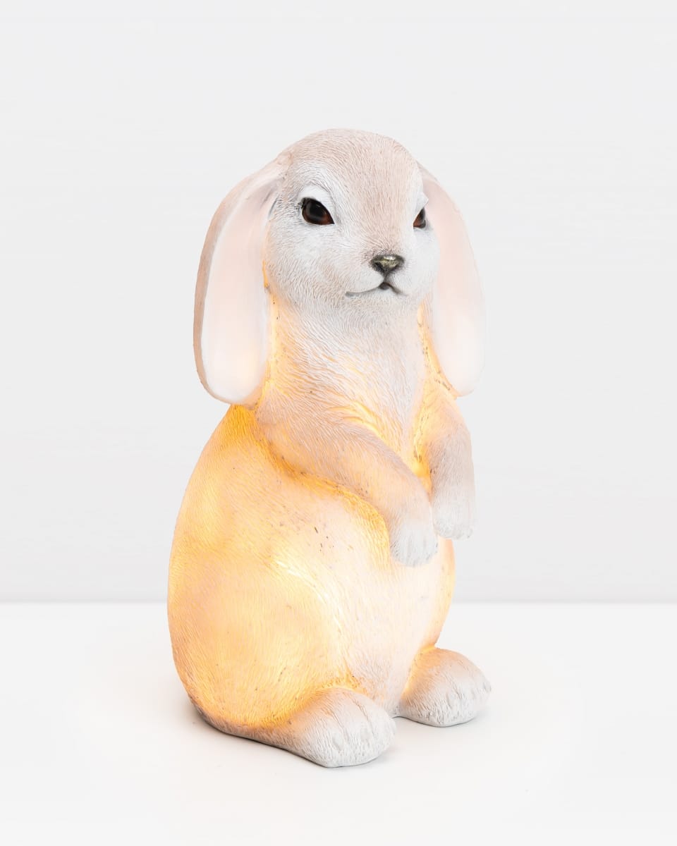 Barnlampa i Kaninform