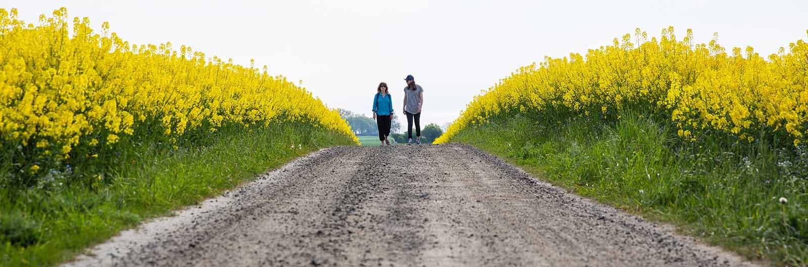 Exklusiv Medlemsrabatt hos Fjällexpressen