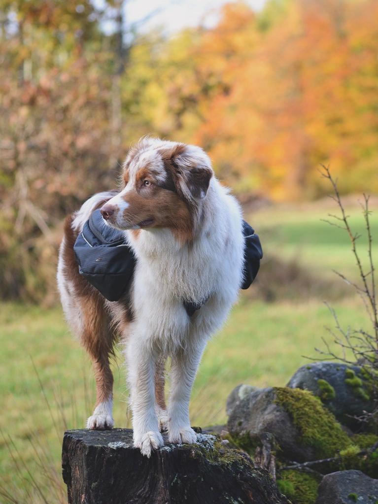 Borganäs Täcke och Kudde Set