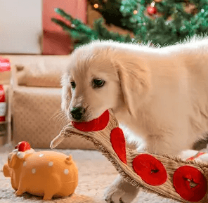 15 % alumnirabatt hos VetZoo