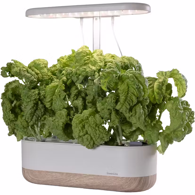 GreenLine Urban Growing P10 Odlingsset