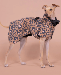 Upp till 80 % rabatt på husdjursprodukter hos Dogman