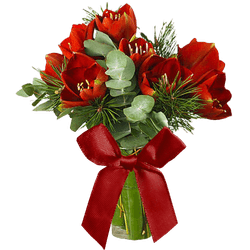 Skicka en julblomma via Mobila Presentkort