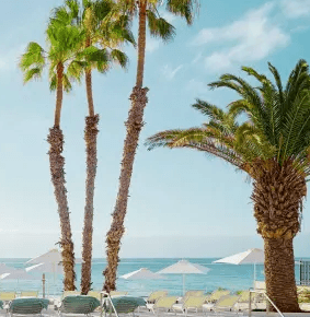 500 kr alumnirabatt hos Sunweb