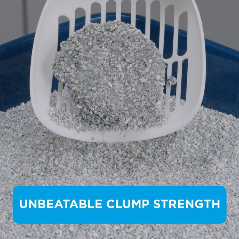 Ever Clean Multiple Cat Klumpande Kattsand