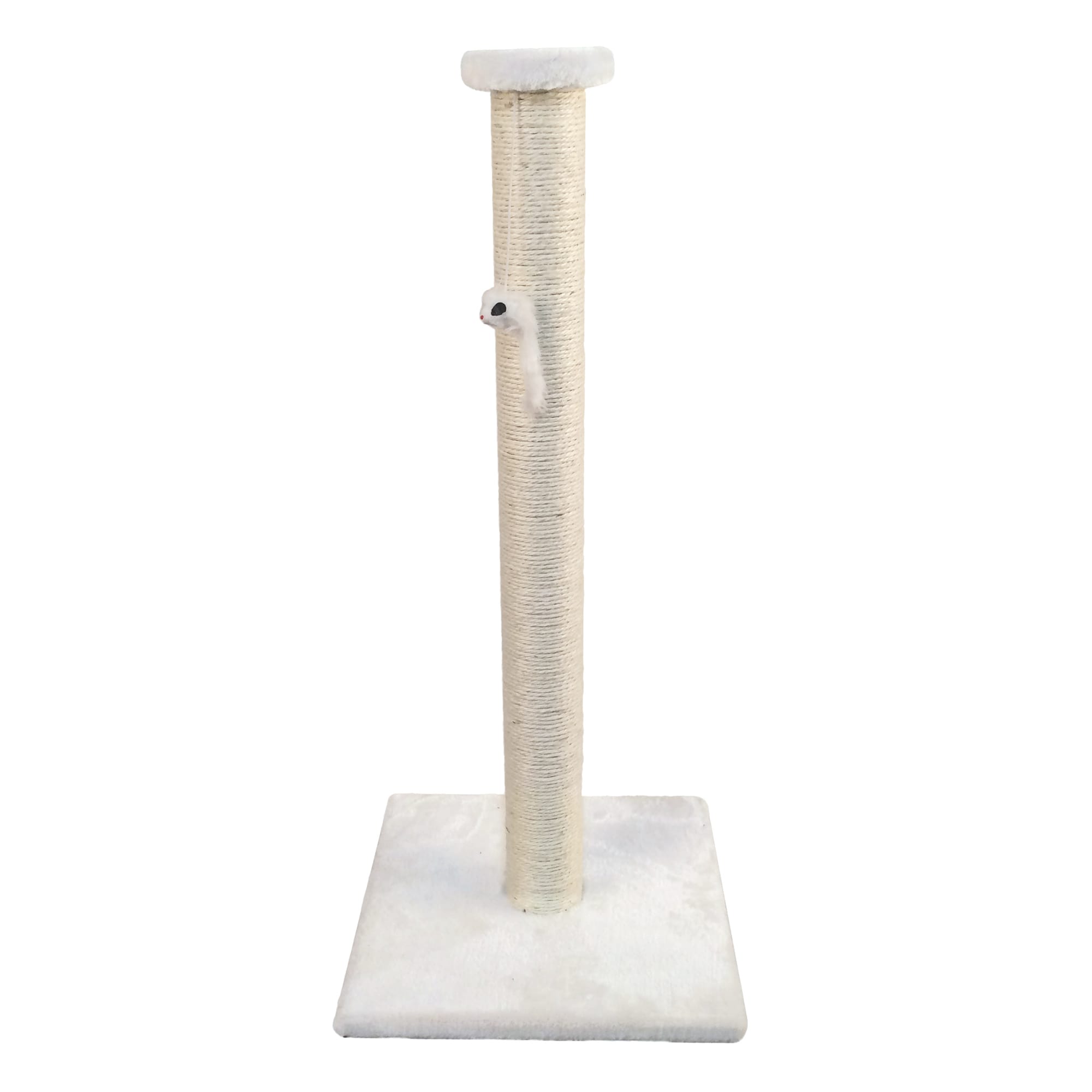 Premium Torrfoder för Kattungar 2kg