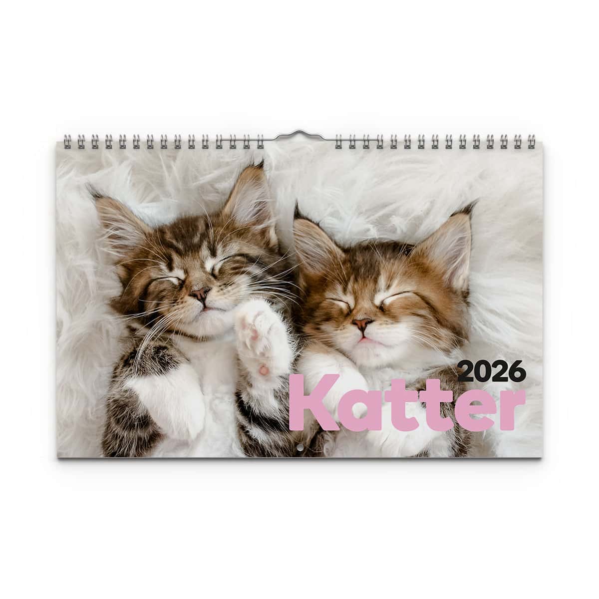 Väggkalender Katter Medium 2026