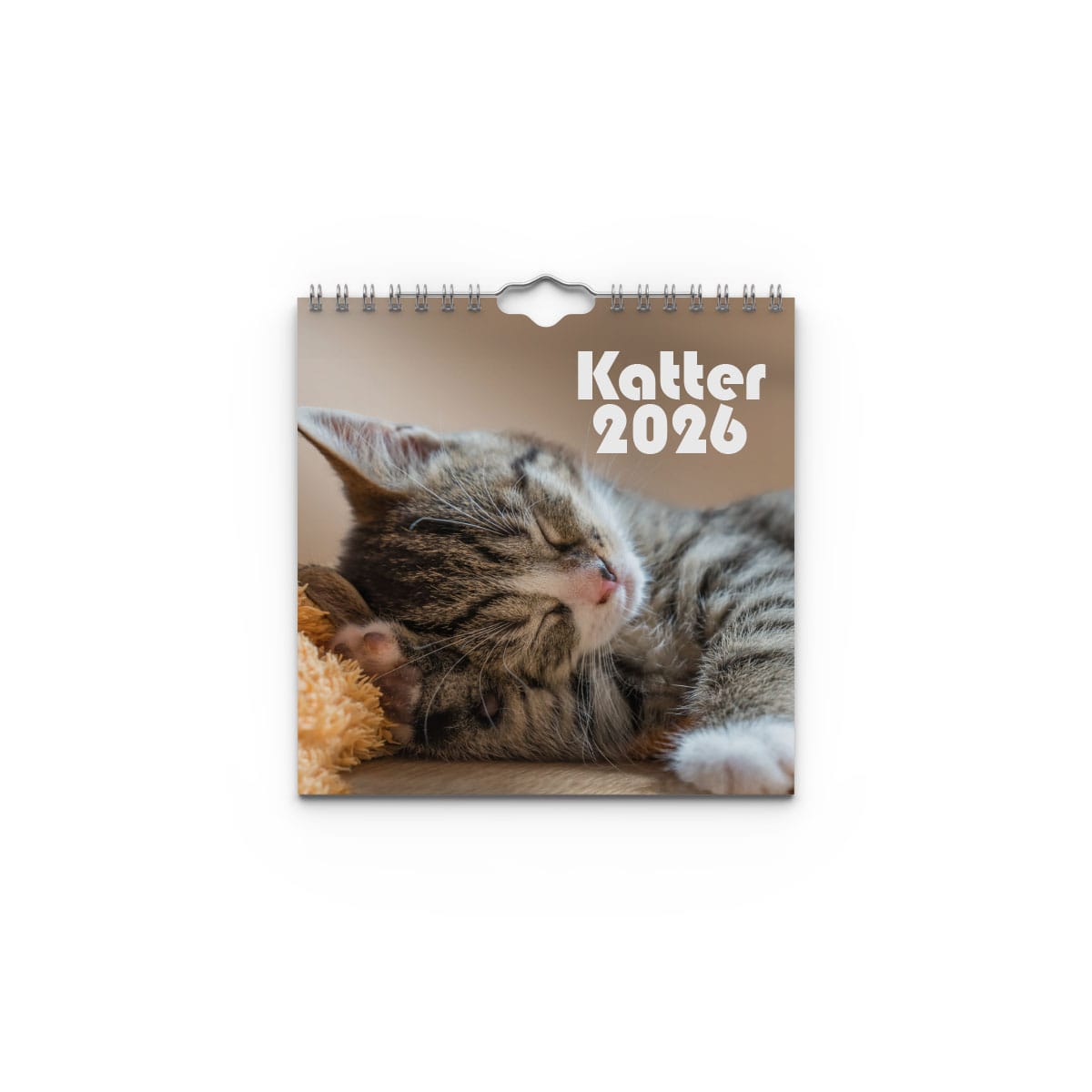 Väggkalender Katter Mini 2026