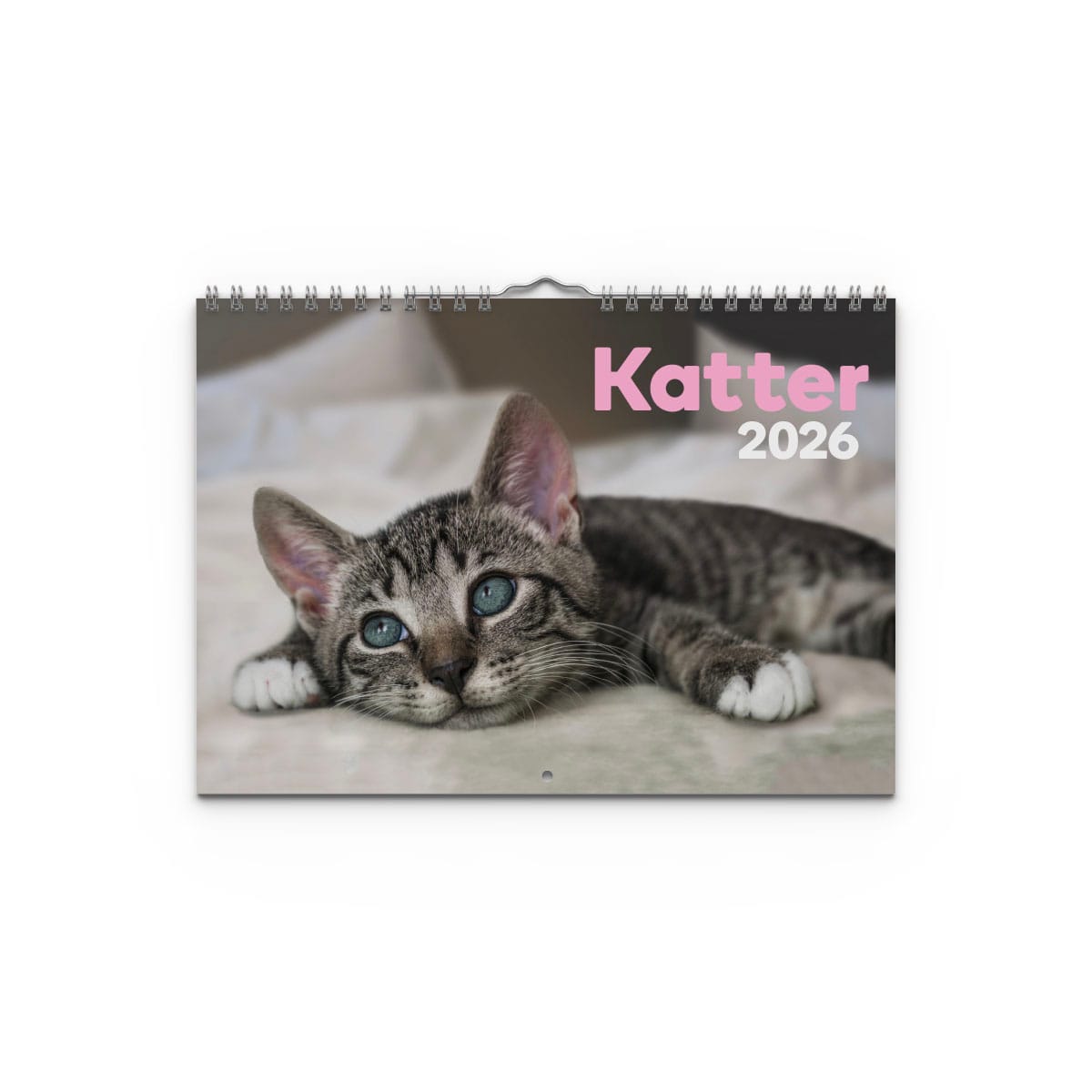 Väggkalender Katter Small 2026