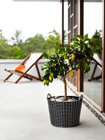 Korbo Planteringssäck 3-pack Utomhusbruk